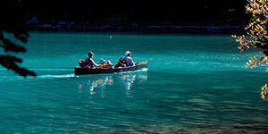 family-boat family-boat