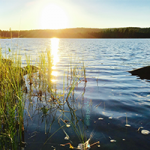 lake-speaks lake-speaks